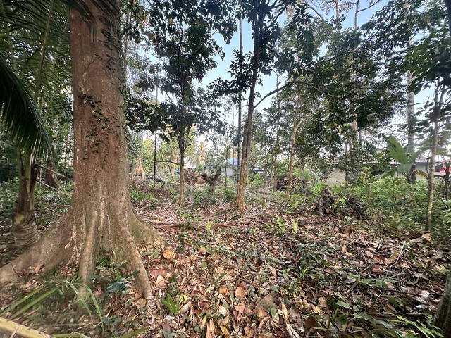 tanah kebun kg kemumin pengakalan chepa 1