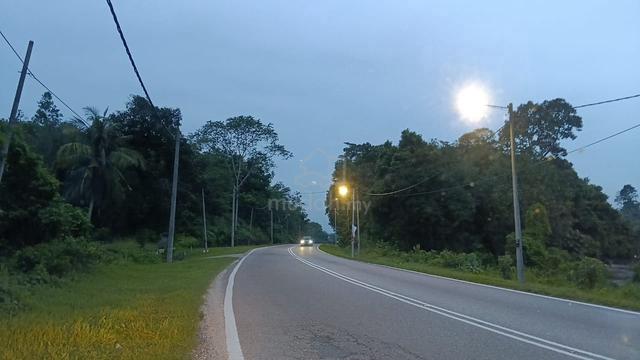Tanah cantek 1