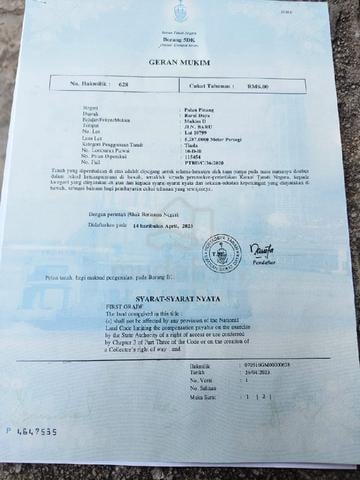 tanah balik pulau untuk dijual 1