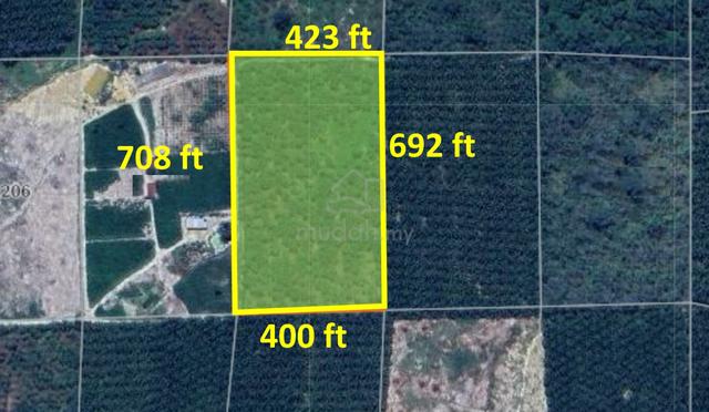 Very Cheap,Rubber & Durian Farm, Jln Kg Chemomoi, Pelangai, Pahang 1