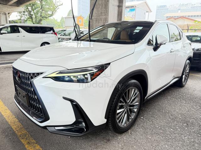 2023 Lexus NX250 2.5 LUXURY P-Roof 360 CAM Unreg - 3