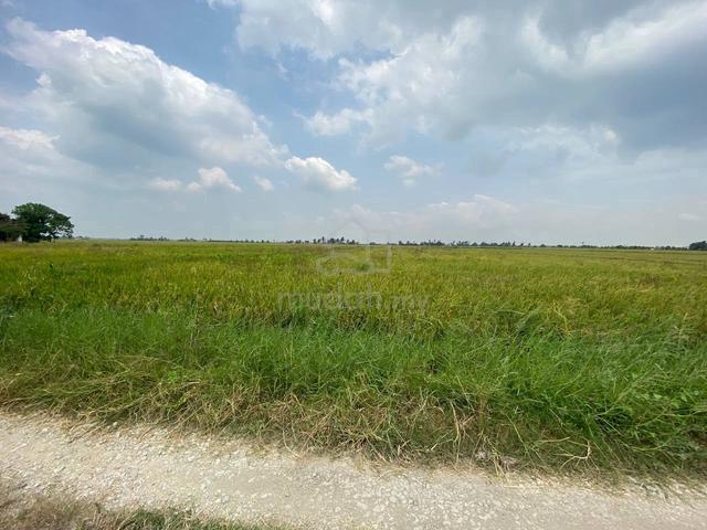 3 acre [FREEHOLD] Sawah padi land Sabak Bernam For sale 5