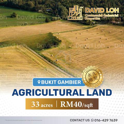 Bukit Gambier - Agricultural Land For Sale 1
