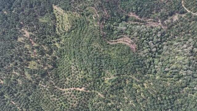 TANAH KEBUN GETAH 8 Ekar di Keremoyang, Simpang Renggam 1