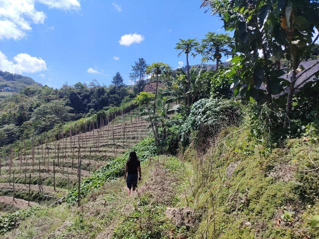 Tanah Lot Murah Kundasang Ranau 5000sqft Geran NT 1