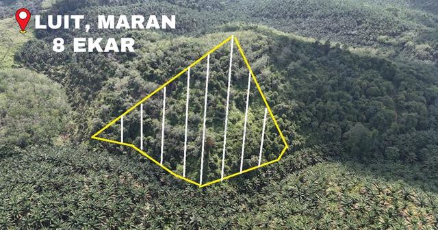 Tanah Pertanian 8 ekar Luit Maran 1