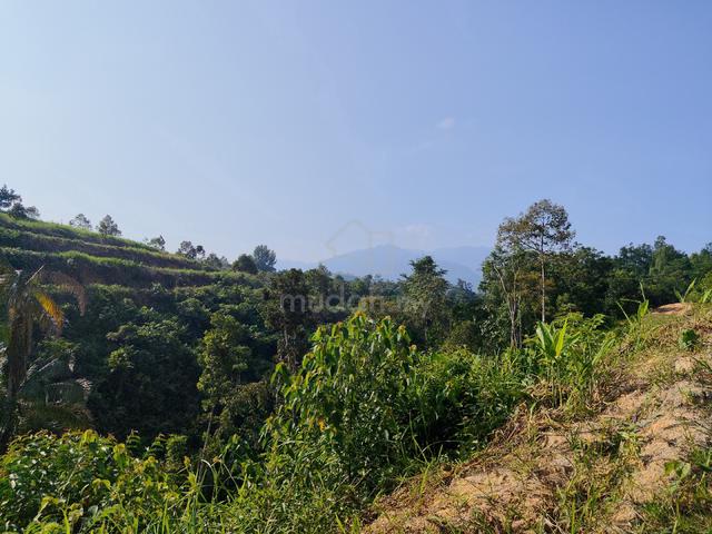 Tanah Kebun Untuk Dijual Di Tanjung Rambutan 1
