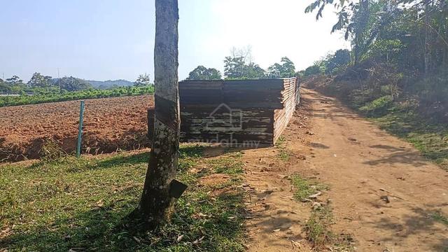 Agriculture Land for Sale 1