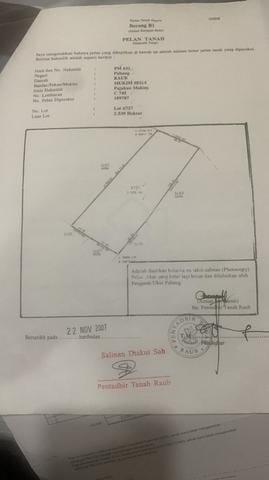 FOR SALE – Agricultural Land (Sawit Plantation) in Kg Peruang, Benta 1
