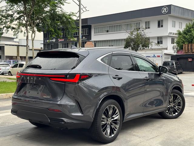 Unreg 2023 Lexus NX250 2.5 Version L, PanRoof Red - 2