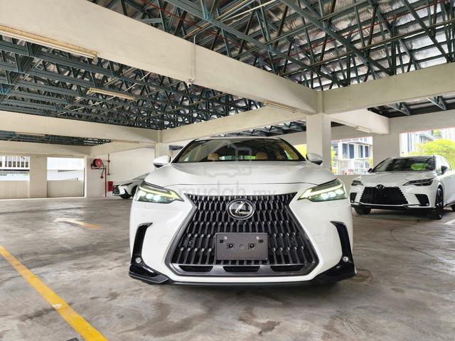 2023 Lexus NX250 2.5 VERSION-L (A) GRADE 4.5B - 3