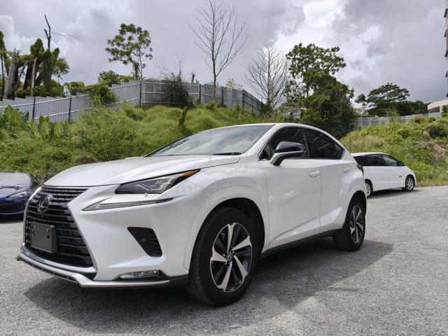 2020 Lexus NX300 2.0 SPICE&CHIC (A) - 1