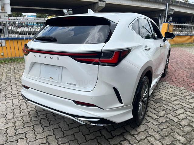 2022 Lexus NX 250 2.5 VERSION L FULL SPEC GRADE 5A - 2