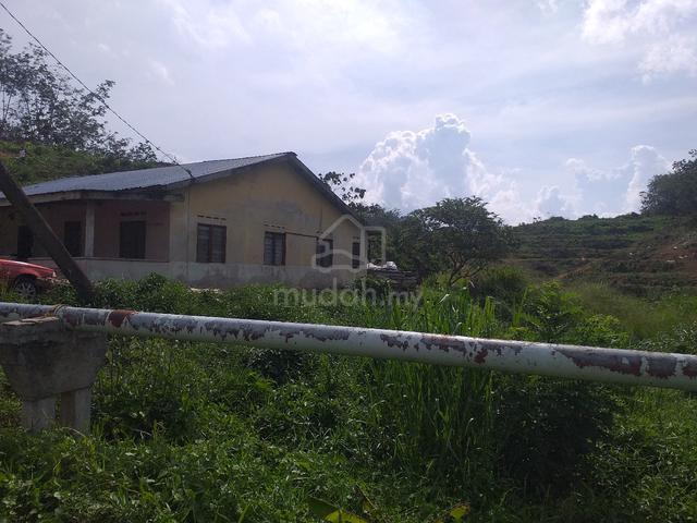 sawit & rumah spg rengam 1
