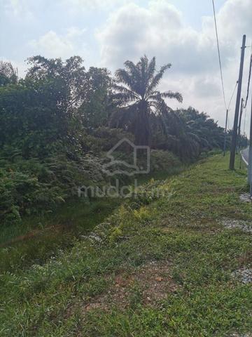 Kampung Olak Lempit Banting Selangor Agricultural Land For Sale 1