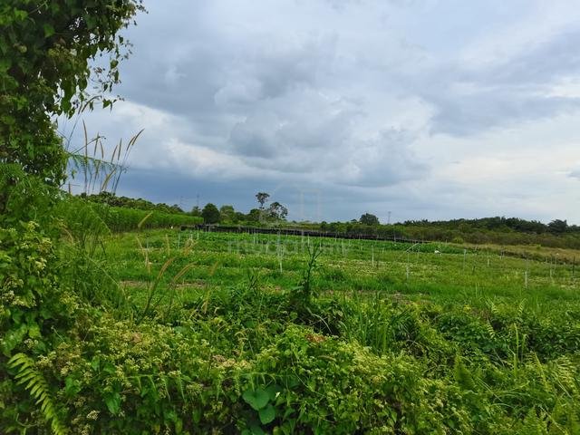 Johan Setia land for sale 1