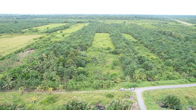OT 24886 / LOT 49, Kampung Kaba, Saratok, Batu Api Land District, Beto 1