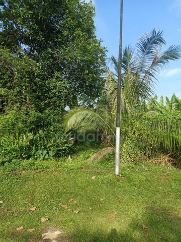 1st layer Non Bumi Agriculture Land of Kuala LANGAT main road 5