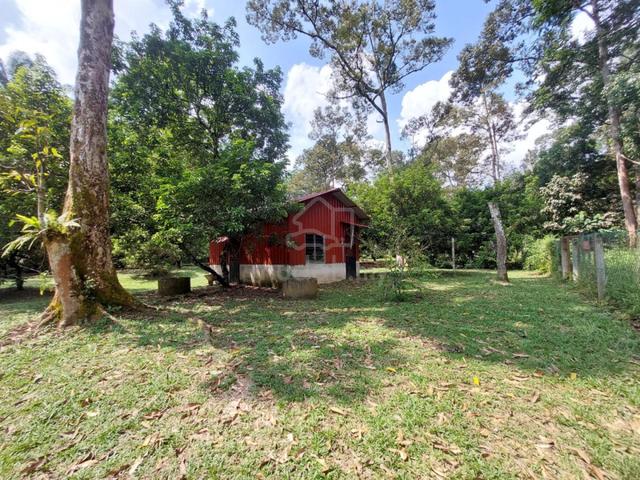 Freehold, Dusun Buah- Buahan Ulu Yam 1