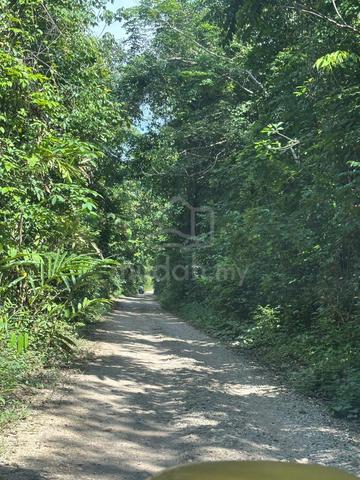 Tanah Kebun dengan pelbagai jenis buah untuk dijual. 1