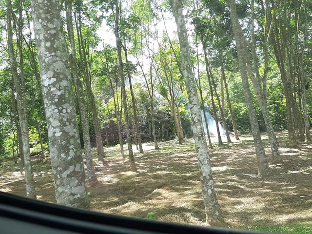 Strategic Land To Rent !!!!! (Negotiable) 1