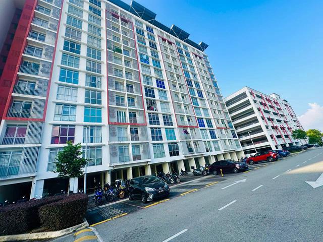 Masreca n19eteen (Masreca-19) 1