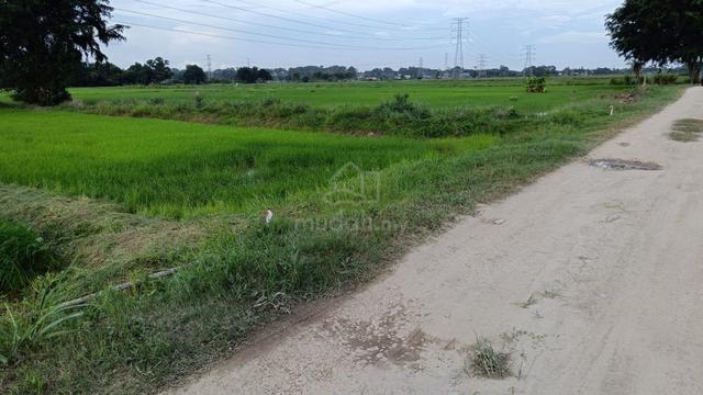 Tanah sawah jual bahagian 4,653 kps tepi jalan Kg Paya Luboh 1