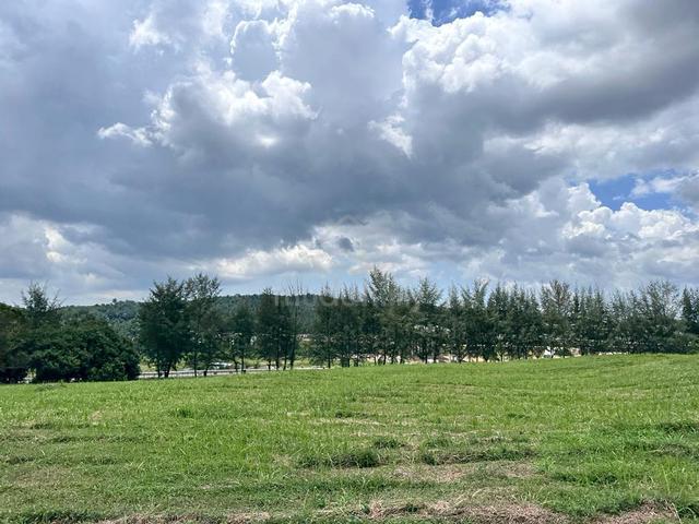 Leisure Farm Bungalow Land Iskandar Gelang Patah For Sale 1