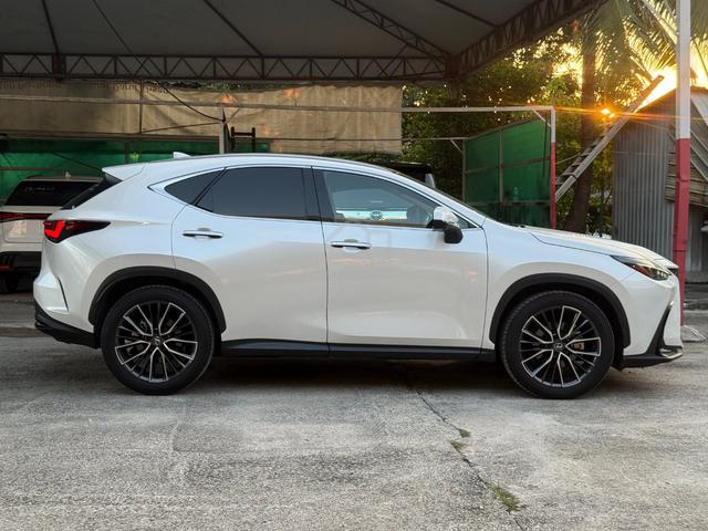 2023 Lexus NX250 2.5 VERSION L BROWN LEATHER 5A - 5