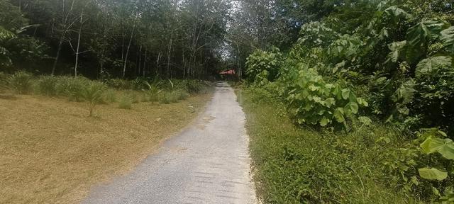 Tanah Rata 5.3 Ekar Kg Sg Rasau Untuk Dijual 1