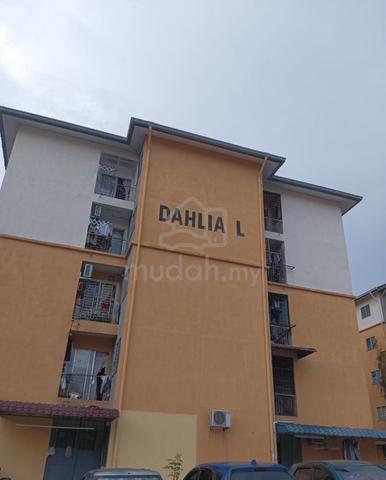 Dahlia (Seremban) 1