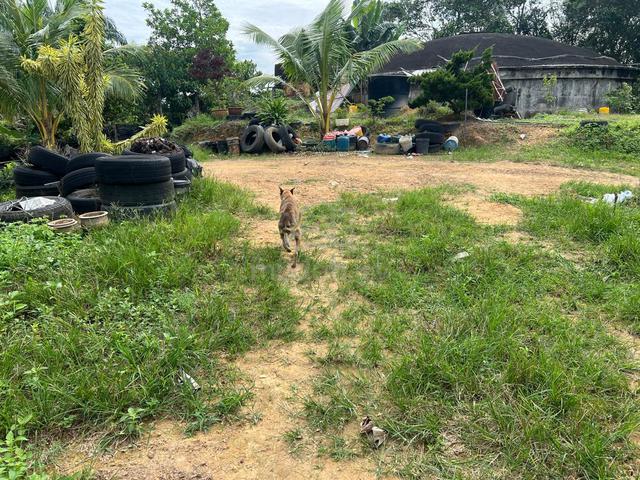 Multiple Agriculture Purpose Land (3 Acre) with Reserve Road for Sale 2