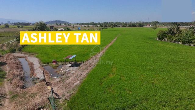 FIRST GRADE 13acres Freehold Agricultural Vacant Land Permatang Pauh 1