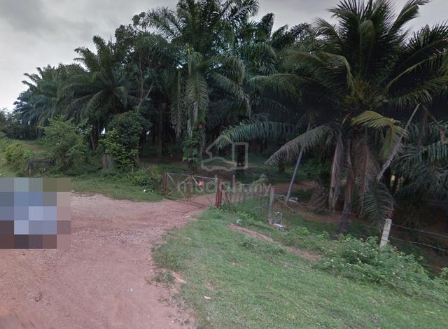 FREEHOLD Durian Tunggal Oil Palm Agri Easy Access Residential Zone 1