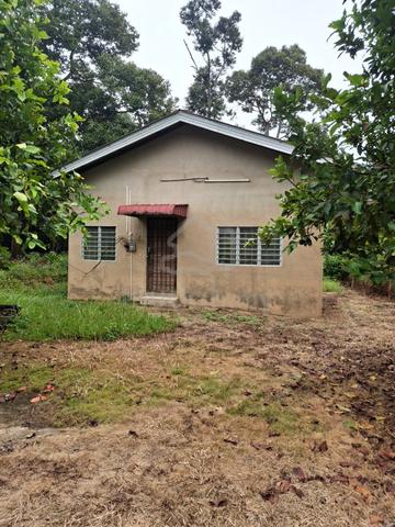 Tanah Kebun Tepi Jalan Utama Hulu Terengganu 1