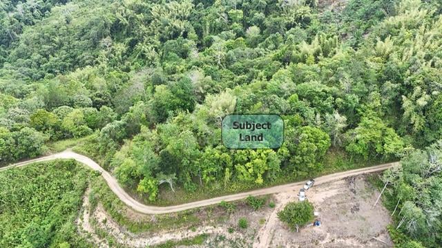 NT Land | 14.45 acres | Kg Bogian | Apin - Apin | Tambunan | 1