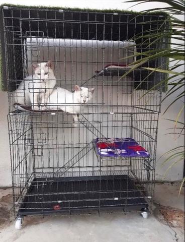 Carousel Image
