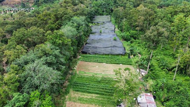 2 Ekar Tanah Rata | Freehold, Non Bumi | Ulu Mantin, Negeri Sembilan 1
