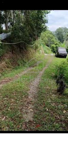 Tamparuli Land, NT 1 acre, Fruits plantation and Single storey house 1