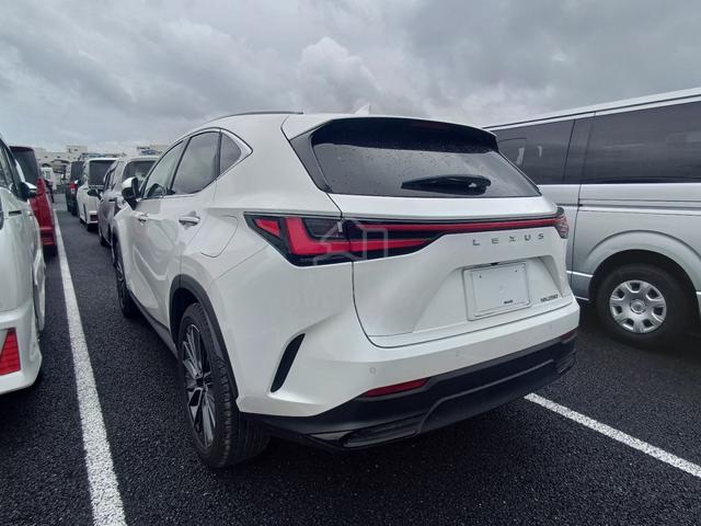 2023 Lexus NX250 2.5 BASE GRADE (A) FULL LOAN - 2