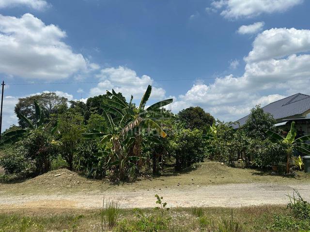 MURAH! Tanah Lot Kebun, Jalan Sarkawi Seksyen 30, Shah Alam 1