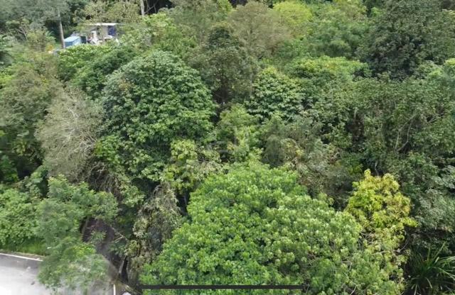 KG SUNGAI PENCHALA | ⭐ Tanah Tepi Jalan Utama FREEHOLD KL 1
