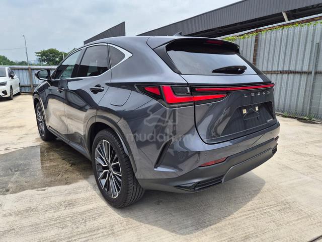 2022 Model: Lexus Nx250 Version L - 5