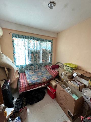 6.17PTS, Double Storey, UNI VISTA 4
