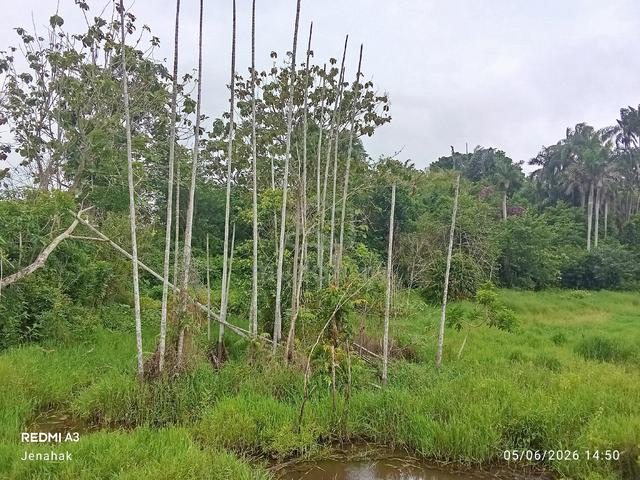 Tanah Kosong Untuk Dijual 1