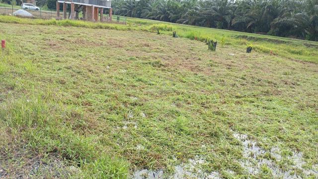Plot Tanah untuk dijual 2