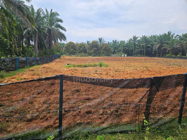 Farm-Ready Land for Sale 1