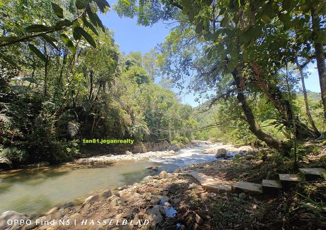 Penampang Kibunut KK  (Riverside) Vacant Hillside Land NT5.0acs (((FOR 1