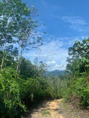 Land For Sale Sungai Gumut Ulu Selangor 1