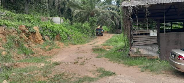 LAND for SALE – Palm Oil Plantation in Johol, Kuala Pilah, N. Sembilan 4